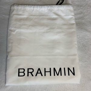 Brahmin pewter, brown snake skinned purse with double handles, shoulder strap.